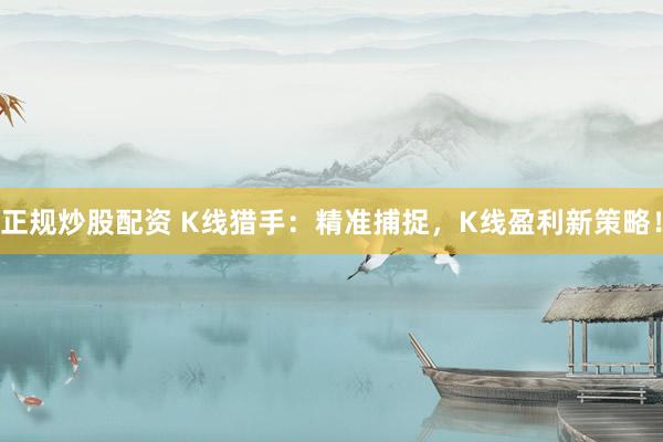 正规炒股配资 K线猎手：精准捕捉，K线盈利新策略！