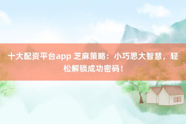 十大配资平台app 芝麻策略：小巧思大智慧，轻松解锁成功密码！