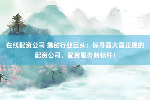在线配资公司 揭秘行业巨头：探寻最大最正规的配资公司，配资服务新标杆！