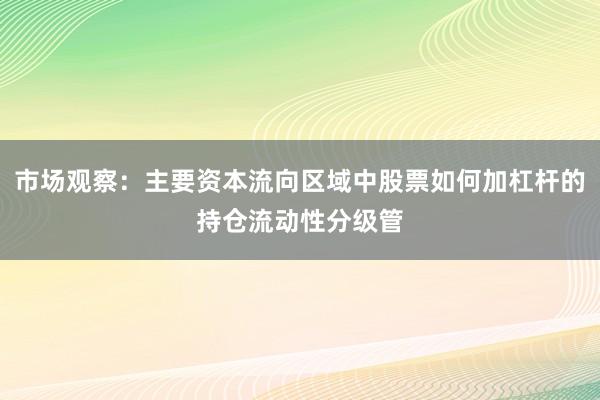 市场观察：主要资本流向区域中股票如何加杠杆的持仓流动性分级管
