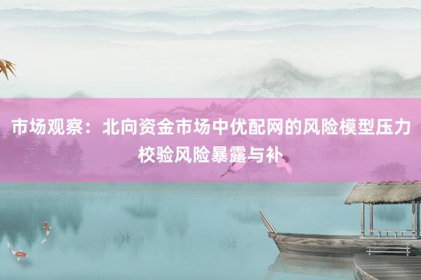 市场观察：北向资金市场中优配网的风险模型压力校验风险暴露与补