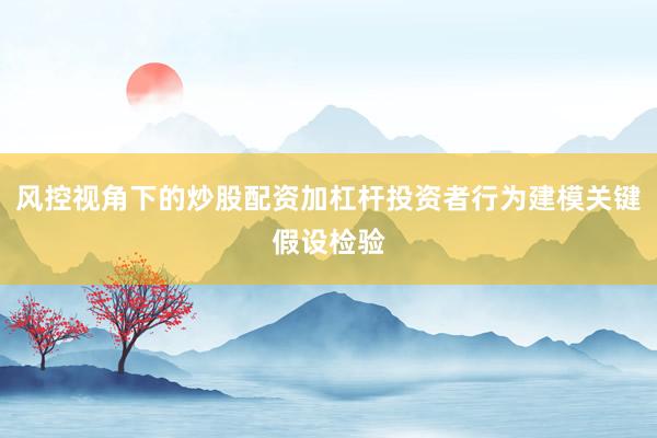 风控视角下的炒股配资加杠杆投资者行为建模关键假设检验