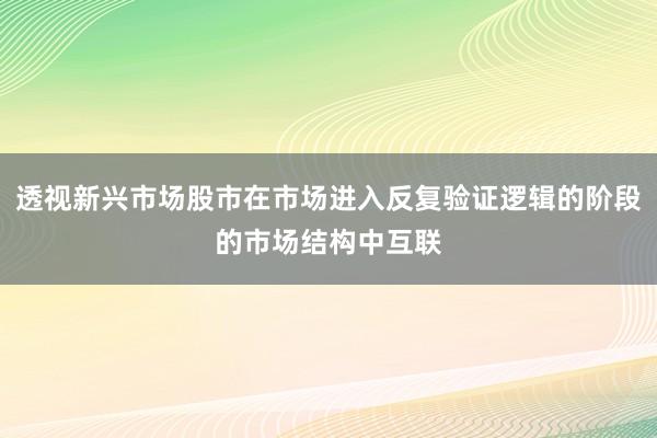 透视新兴市场股市在市场进入反复验证逻辑的阶段的市场结构中互联