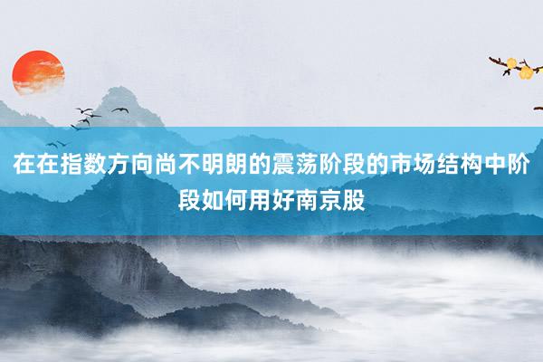 在在指数方向尚不明朗的震荡阶段的市场结构中阶段如何用好南京股