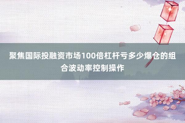 聚焦国际投融资市场100倍杠杆亏多少爆仓的组合波动率控制操作